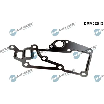 Těsnění motoru Těsnění, pouzdro termostatu Dr.Motor Automotive DRM02813