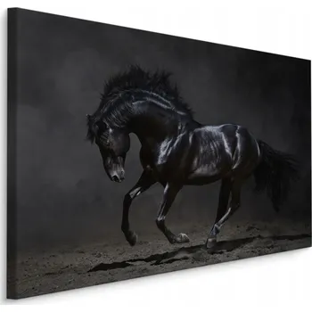 Obraz Obraz Do Předsíně Černý KŮŇ v Cvalu 40x30