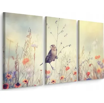 Obraz Obraz Tryptych Polní KVĚTINY Pták Příroda 3D 60x40