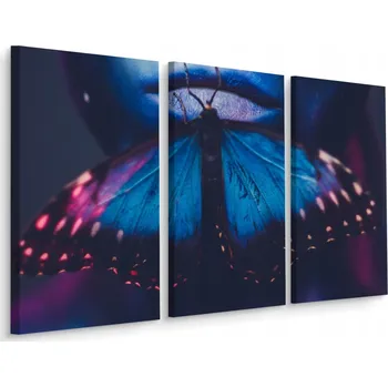 Obraz Obraz Tryptych MOTÝL Ústa Ženy 3D Efekt 60x40