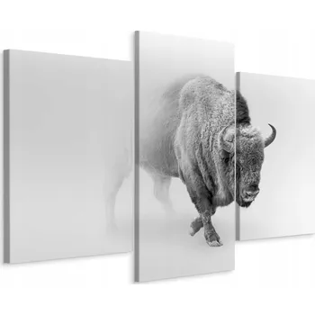 Obraz Obraz Tryptych Šedý BIZON Mlha Zvíře 3D 60x40