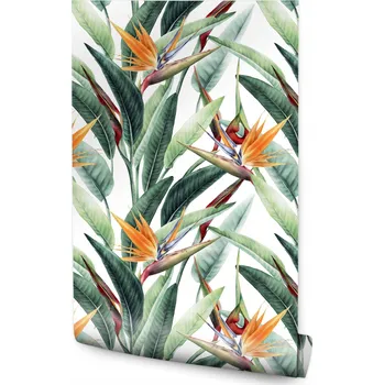 Fototapeta Tapeta do Ložnice Barevné KVĚTY Strelicie Příroda Rostliny Listy Akvarel