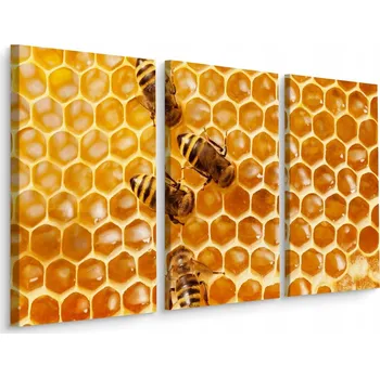 Obraz Obraz Tryptych VČELY Medová Plástev Makro 60x40