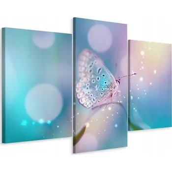 Obraz Obraz Triptych MOTÝL Tráva ve skále Macro 3D 60x40