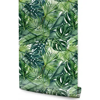 Fototapeta Tapeta v roli Malované LISTY Tropické Banánovník Monstera Akvarely