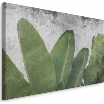 Obraz Obraz na plátně Tropické listy Beton 3D 40x30