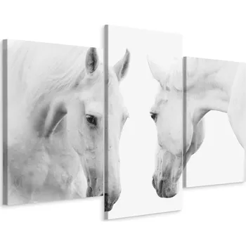 Obraz Obraz Triptych Bílí KONĚ Zvířata Dekorace 60x40