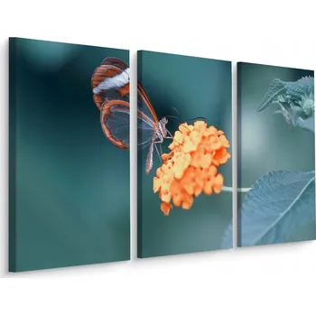 Obraz Obraz Triptych MOTÝL Květ Květina Příroda Makro 3D 60x40