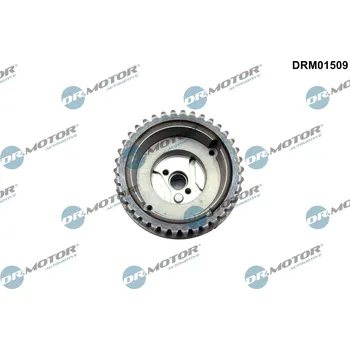 Motor automobilu Nastavovač vačkového hřídele Dr.Motor Automotive DRM01509