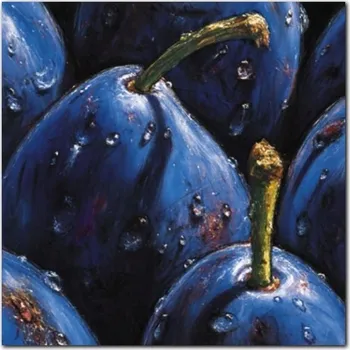 Obraz Švestky plakát obraz 24x24cm