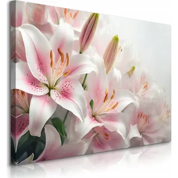 Obraz OBRAZ NA ZEĎ DO OBÝVACÍHO POKOJE LOŽNICE LILIE KVĚTY ABSTRAKCE PŘÍRODA 70x50