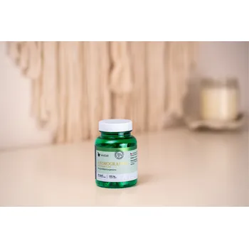 Lék při potížích s trávením Andrographis 25 % extrakt / 60 kapslí