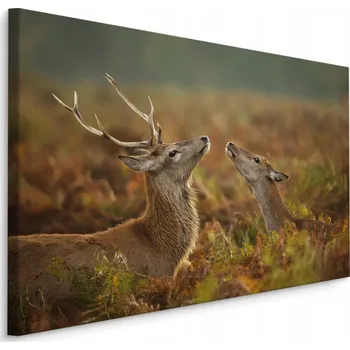 Obraz Obraz do Ložnice JELEN Laně Zeleň Příroda 30x20