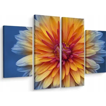 Obraz Čtyřdílný obraz CHRYZANTÉMA zblízka 3D 80x60