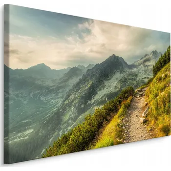 Obraz Obraz Cesta v horách 70x50 /57594445