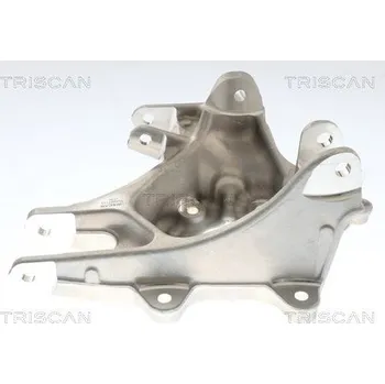 Čep nápravy Čep nápravy, zavěšení kol TRISCAN 8500 81714