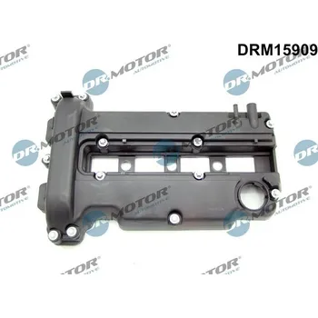 Motor automobilu Kryt hlavy válce Dr.Motor Automotive DRM15909