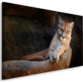 Obraz Obraz na plátně PUMA Divoká Kočka Příroda 3D 30x20