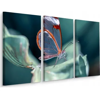 Obraz Obraz Triptych MOTÝL List v Makro Měřítku 3D 60x40