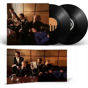 Zahraniční hudba How Have You Been? Vinylová Deska od Giant Rooks