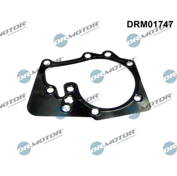 Těsnění motoru Těsnění, vodní čerpadlo Dr.Motor Automotive DRM01747