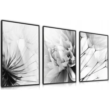 Obraz SADA X3 PLAKÁT V RÁMU ČERNOBÍLÉ KVĚTY PAMPELIŠKY DO LOŽNICE 60x80