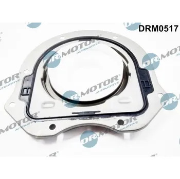 Těsnění motoru Těsnicí kroužek hřídele, klikový hřídel Dr.Motor Automotive DRM0517