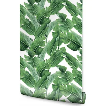 Fototapeta Tapeta na zeď do obýváku BANÁNOVÉ LISTY Příroda Rostliny Dekorace
