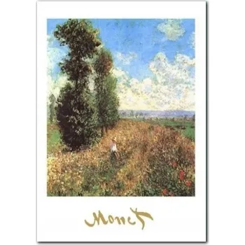 Obraz Pole s vlčími máky plakát obraz 50x70cm