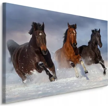 Obraz Obraz do ložnice cválající koně sníh 3D 70x50