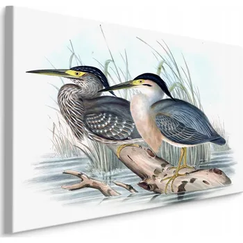 Obraz Obraz do jídelny PTÁCI voda větev příroda 40x30