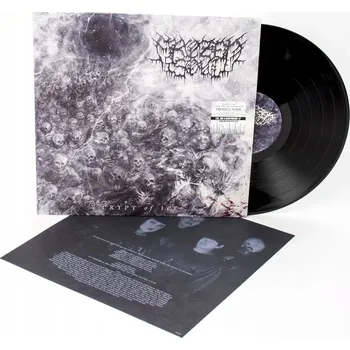 Hudba Crypt Of Ice Frozen Soul Vinylová Deska