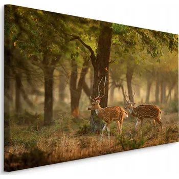 Obraz Obraz do Předsíně JELENI v Lese Příroda 40x30