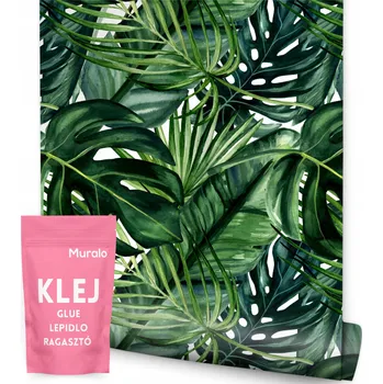 Fototapeta Tapeta do obýváku Exotické LISTY Rostliny Monstera Palma Banánovník