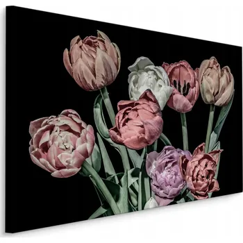 Obraz Obraz Barevné TULIPÁNY na Černém Pozadí 3D 40x30