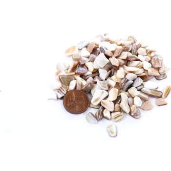 PourArt Tromlované kamínky Colourfull Shelts N14 5-20mm 100g