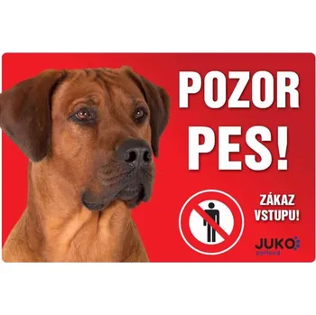 Cedulka plast RHODÉSKÝ RIDGEBACK