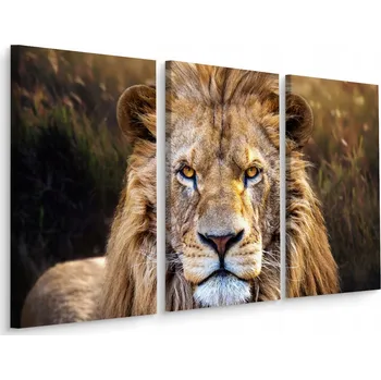 Obraz Obraz Triptych LEV Portrét Zvířete Dekor 3D 60x40