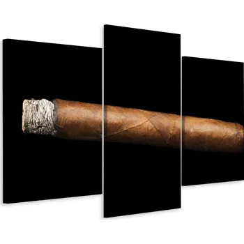Obraz Obraz Triptych Hnědé KUBÁNSKÉ CIGÁRO 3D 60x40