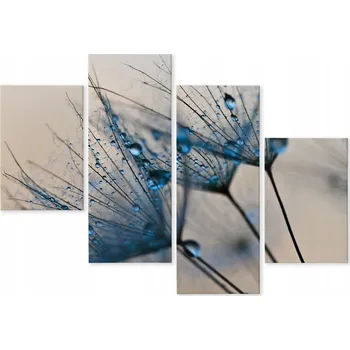 Obraz Čtyřdílný obraz Pampeliška KAPKY Vody 80x50