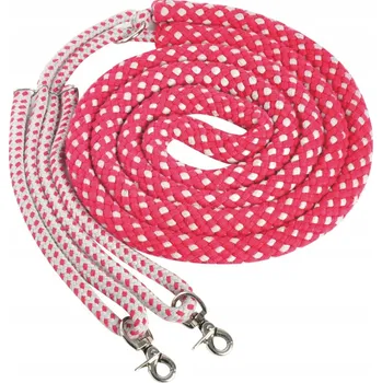 IP kamera Waldhausen Lina Bič