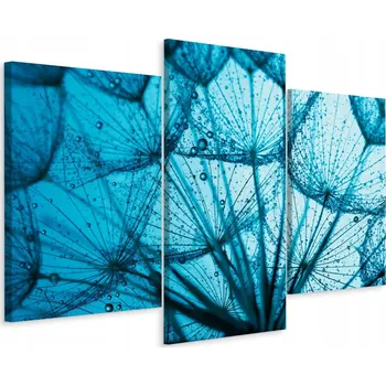 Obraz Obraz Tryptych KAPKY Semena PAMPELIŠKY 3D 60x40