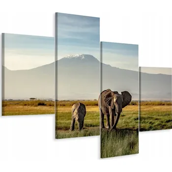 Obraz Čtyřdílný obraz ZVÍŘATA Sloni Hory 3D 80x50