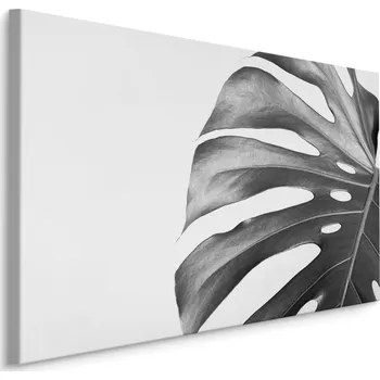 Obraz Černobílý obraz Canvas 3D – List Monstera 40x30 cm