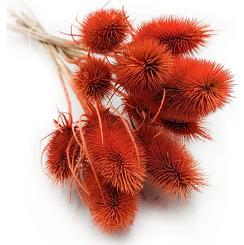 umělá květina Bodlák Suchý bodlák Dipsacus oranžová kytice