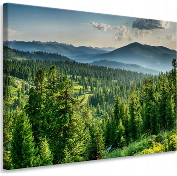 Obraz Obraz do Jídelny KRAJINA Les Příroda Mlha Hory 3D Efekt 90x60