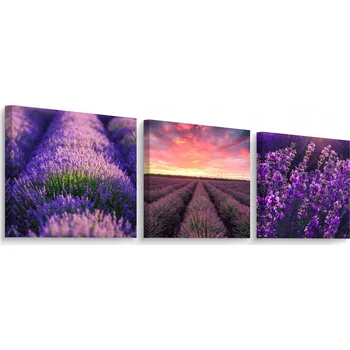 Obraz Obrazy do Kuchyně SET Pole LEVANDULE Květiny Příroda Krajina Rostliny 150x50