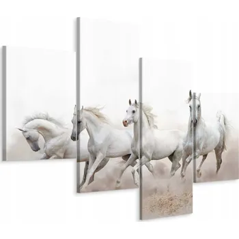 Obraz Obraz Čtyřdílný Běh Koní Dekorace 3D 80x50