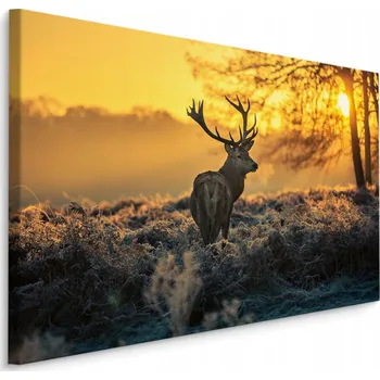 Obraz Obraz do obýváku jelen slunce zima příroda 3D 40x30
