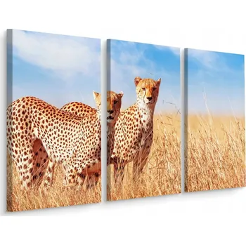 Obraz Obraz Triptych Gepardi Zvířata Serengeti 60x40